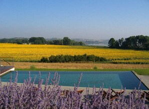 Pool - Tuscan Holiday Home With Pool (Chiusi)
