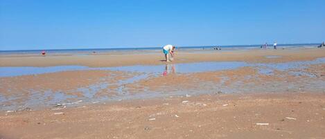 Apartamento | Vistas desde el alojamiento