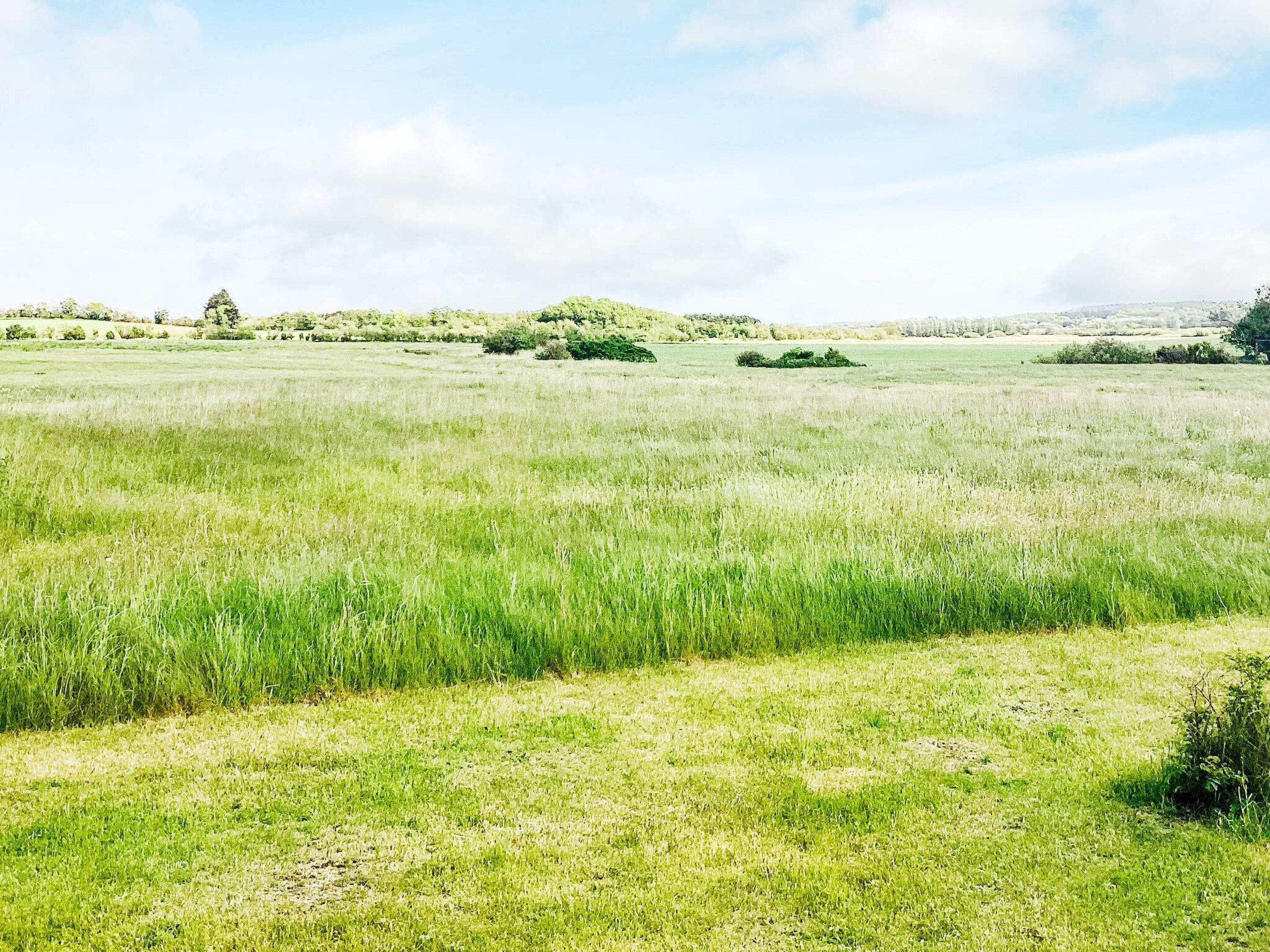 Huis | Exterieur