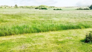 A vast open field with scattered trees and a clear sky. - 6 Person Holiday Home in Logstor (Logstor)
