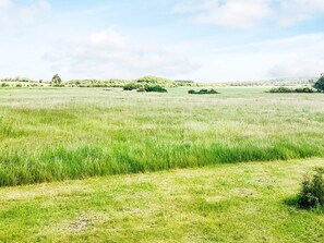 A vast open field with scattered trees and a clear sky. - 6 Person Holiday Home in Logstor (Logstor)