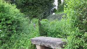 Un banc en pierre, entouré d’une végétation luxuriante, et un escalier en métal menant au sommet d’une colline.