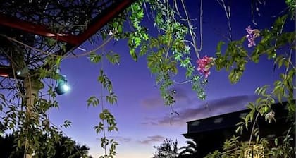 Gran Villa Palmera