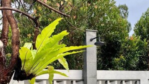 A garden with a concrete water feature, a lattice fence, and a stone pathway. - SF Homey Yokohama (Cipanas)
