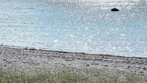Vista costeira com uma ponte ao fundo.