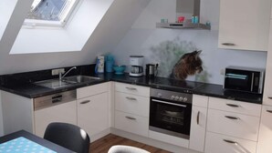 Een moderne keuken met dakraam, een kat op het aanrecht en een magnetron.