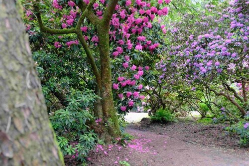 Holiday Apartment Schwarting in Wiefelstede