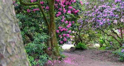 Holiday Apartment Schwarting in Wiefelstede