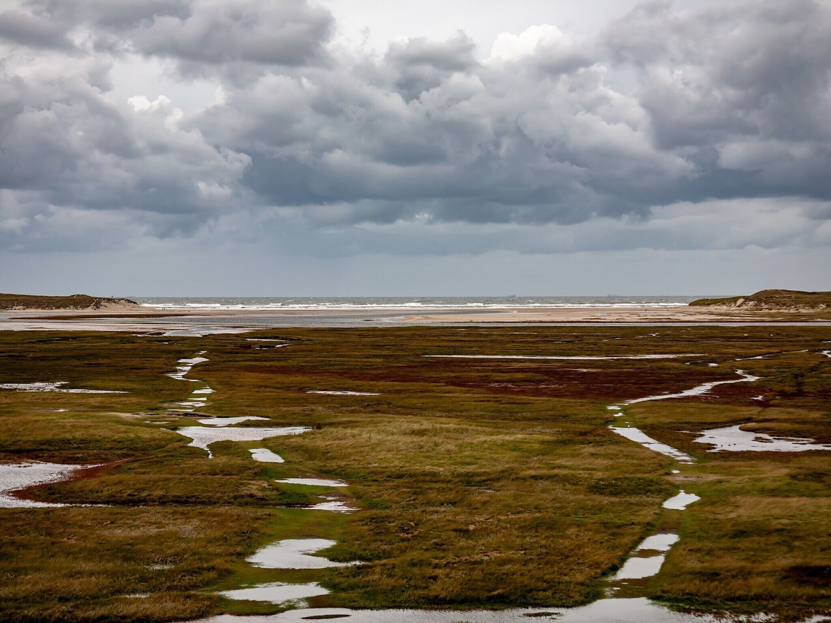 A coastal landscape with grassy terrain and a beach.