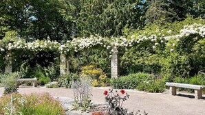 A garden with a stone bench, a pergola covered with white flowers, and various plants. - 4 Star Holiday Home in Visby (Visby)