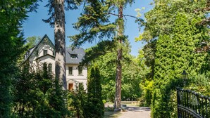 Un chemin menant à une maison entourée d’une végétation luxuriante et de grands arbres.