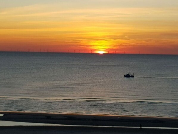 Beach - "T Holy Pad Comfortable Holiday Residence (Egmond aan Zee)