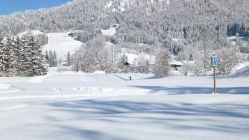Snow and ski sports