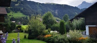 Charming Apartment in Lenk