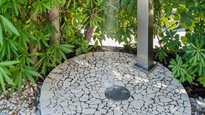 Una fuente moderna con un caño vertical, rodeada de abundante vegetación.