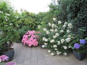 Exterior - "Am Ahornweg" Modern Retreat (Emmerich)