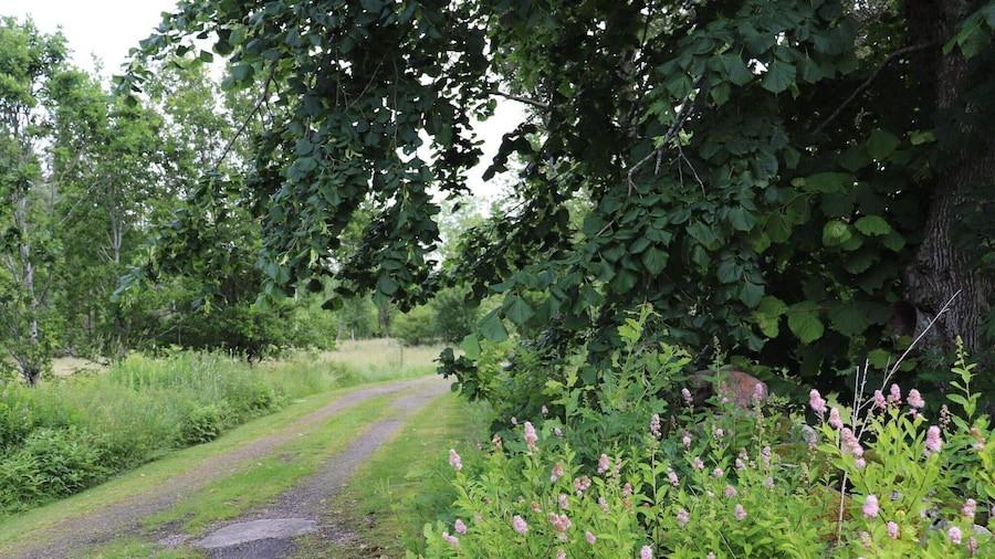 4 Person Holiday Home in Karl Gustav