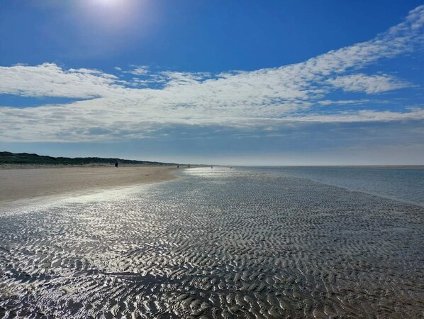 獨棟房屋 | 水景