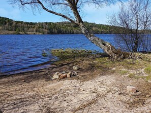 Une scène au bord d’un lac, avec un arbre penché au-dessus de l’eau, une plage de sable et une colline boisée en arrière-plan.