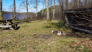 En enkel stuga med ett picknickbord och en eldstad på en plats omgiven av träd.