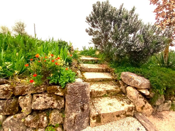 Overnattingsstedets uteområder