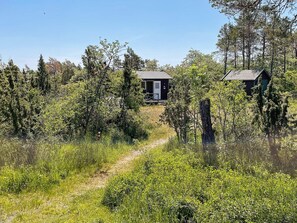 Eine H ütte, umgeben von dichtem Wald, mit einem klaren Weg davor.