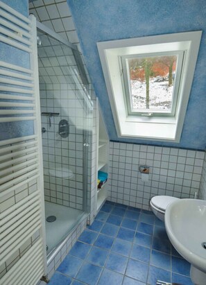 Ein Badezimmer mit Dachfenster, einer Dusche und einem WC.