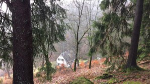 A forested area with a house in the background. - Holiday Home Waldhaus am Burbach (Bad Berleburg)