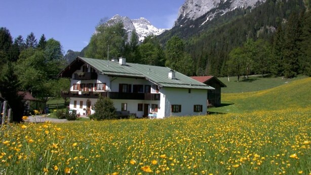 A two-story house with a green roof, surrounded by a field of yellow flowers, with a mountain in the background. - Haus Brandl Modern Retreat (Ramsau bei Berchtesgaden)