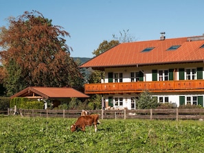 Exterior - Castle View Modern Retreat (Kreuth)
