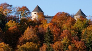 Exterior - Castle View Modern Retreat (Kreuth)