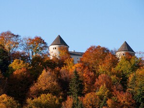 Exterior - Castle View Modern Retreat (Kreuth)
