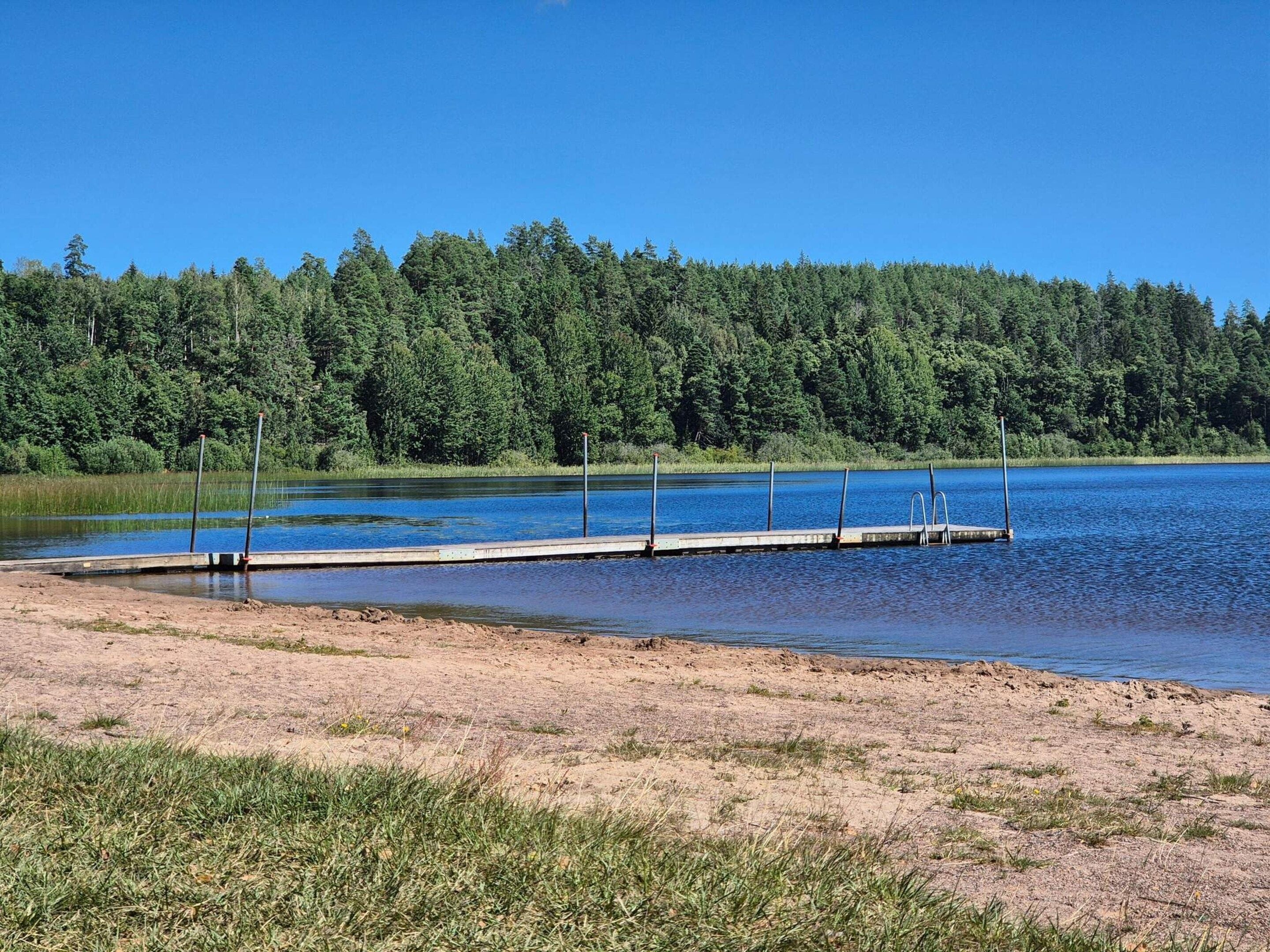 Un muelle a orillas de un lago tranquilo, rodeado de un denso bosque.