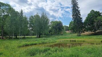 A natural landscape with a pond, trees, and grassy terrain.