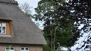 Une maison traditionnelle en briques, avec un toit de chaume et deux fenêtres.