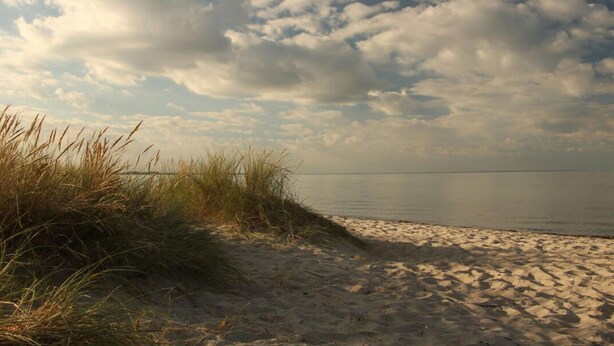 Une plage de sable avec de hautes herbes au premier plan, qui s’étend jusqu’à une étendue d’eau calme sous un ciel nuageux.