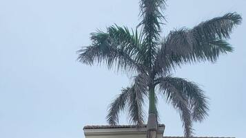 Appartement, 2 slaapkamers | Exterieur