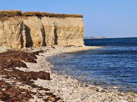 独立别墅 | 水景