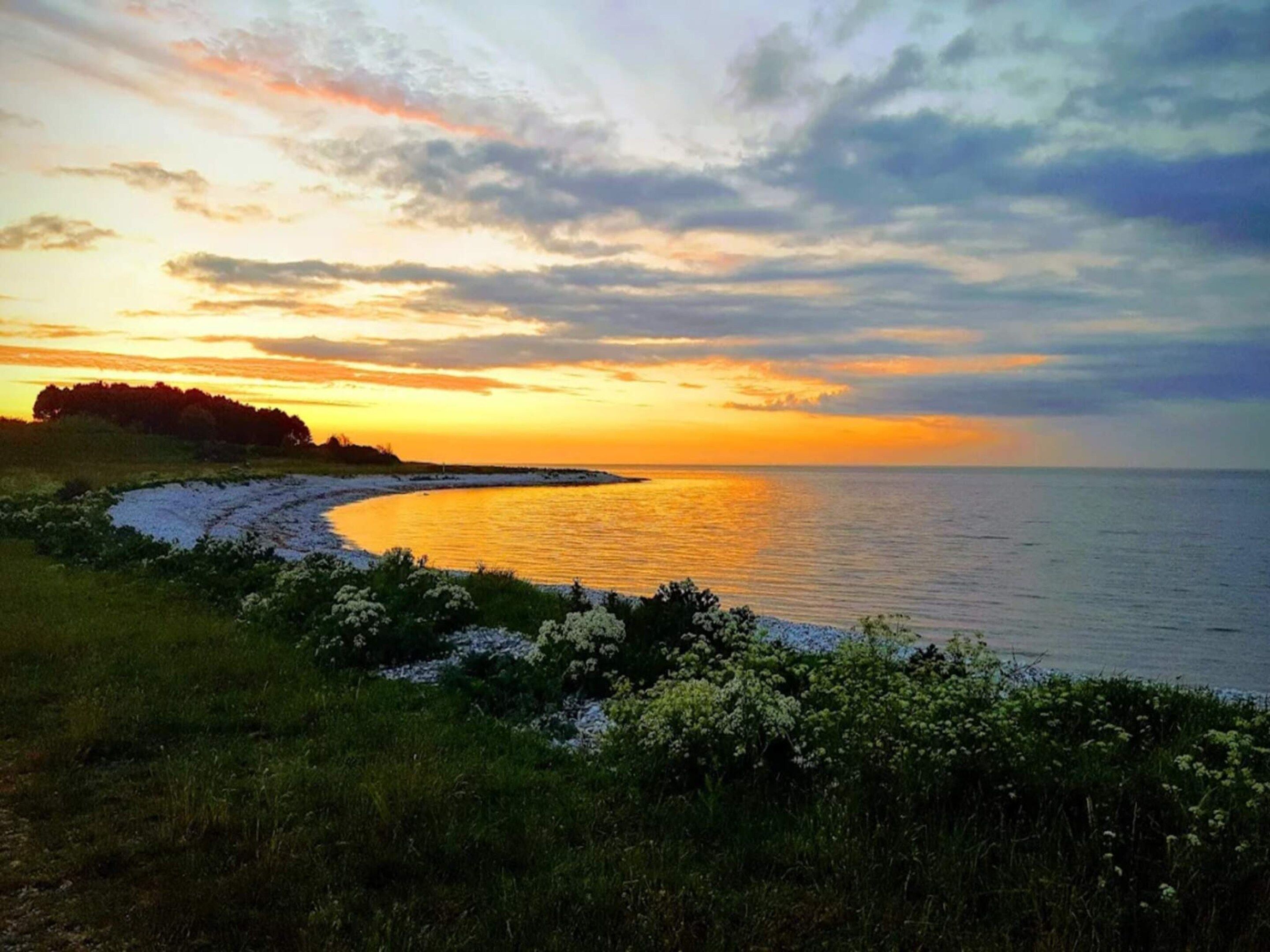 Un paysage côtier caractérisé par une ligne de rivage sinueuse, des zones herbeuses et des fleurs sauvages.