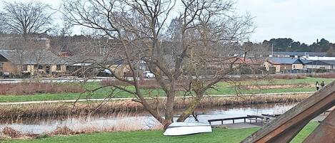 House | Property grounds