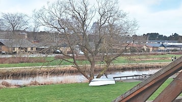 House | Property grounds