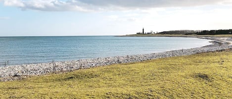 A coastal landscape with a grassy area, a pebble beach, and a lighthouse in the distance.