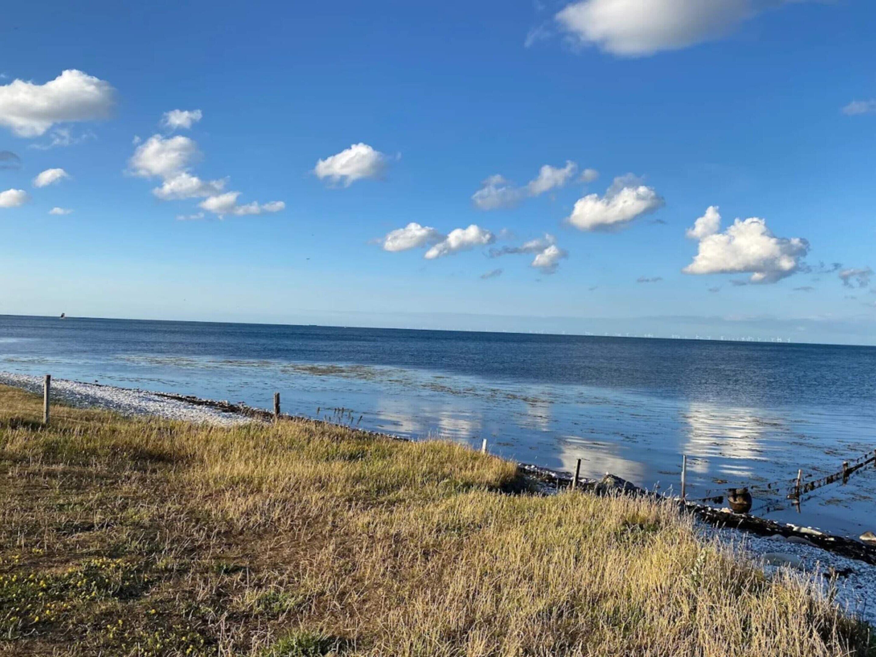 Et kystlandskab med klar himmel, rolig sø og græsbevokset område.