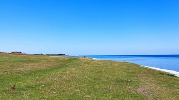 Un campo cubierto de hierba bajo un cielo azul despejado, con una masa de agua en la lejanía.
