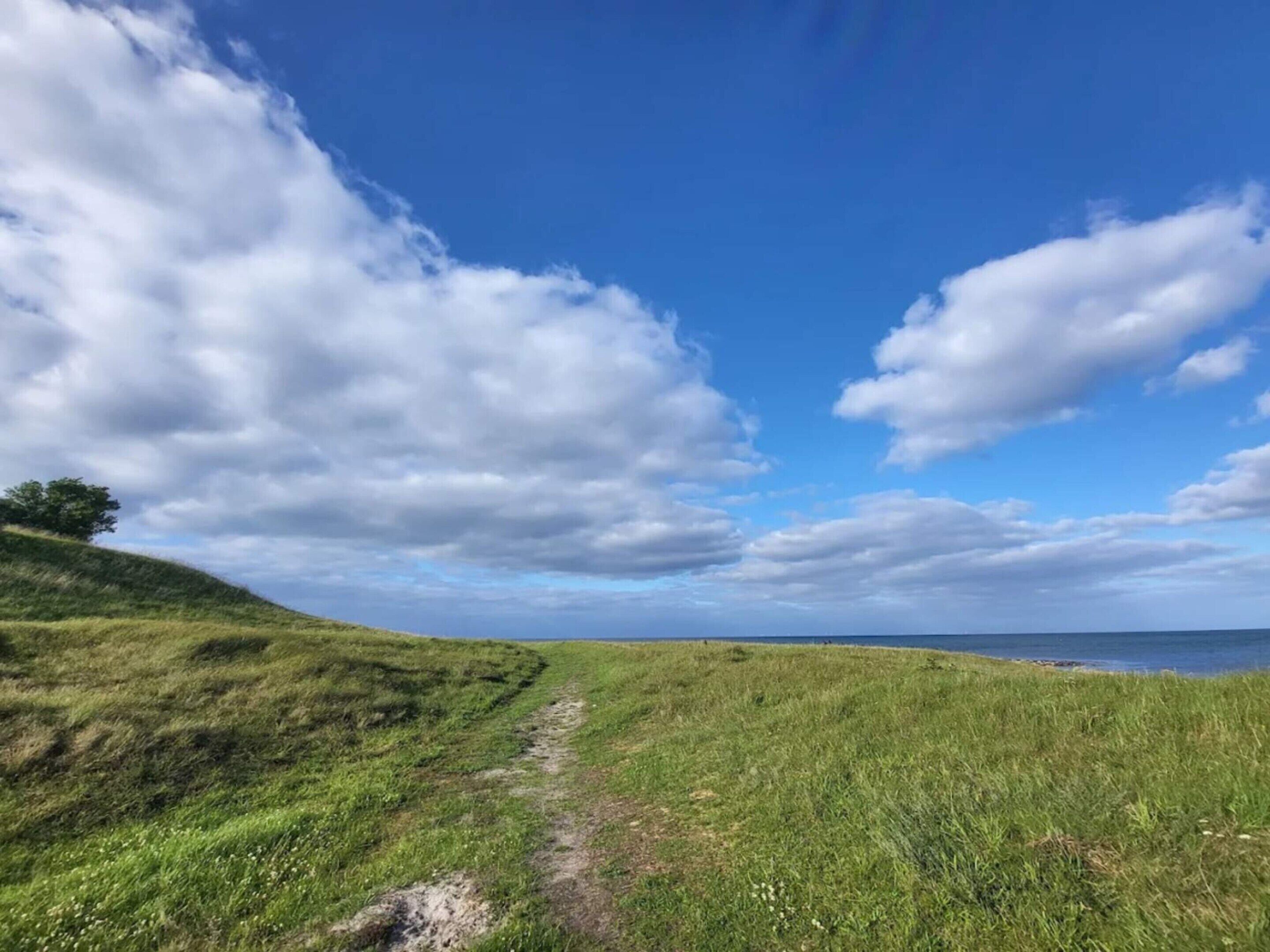 A grassy path leading to a body of water under a partly cloudy sky.