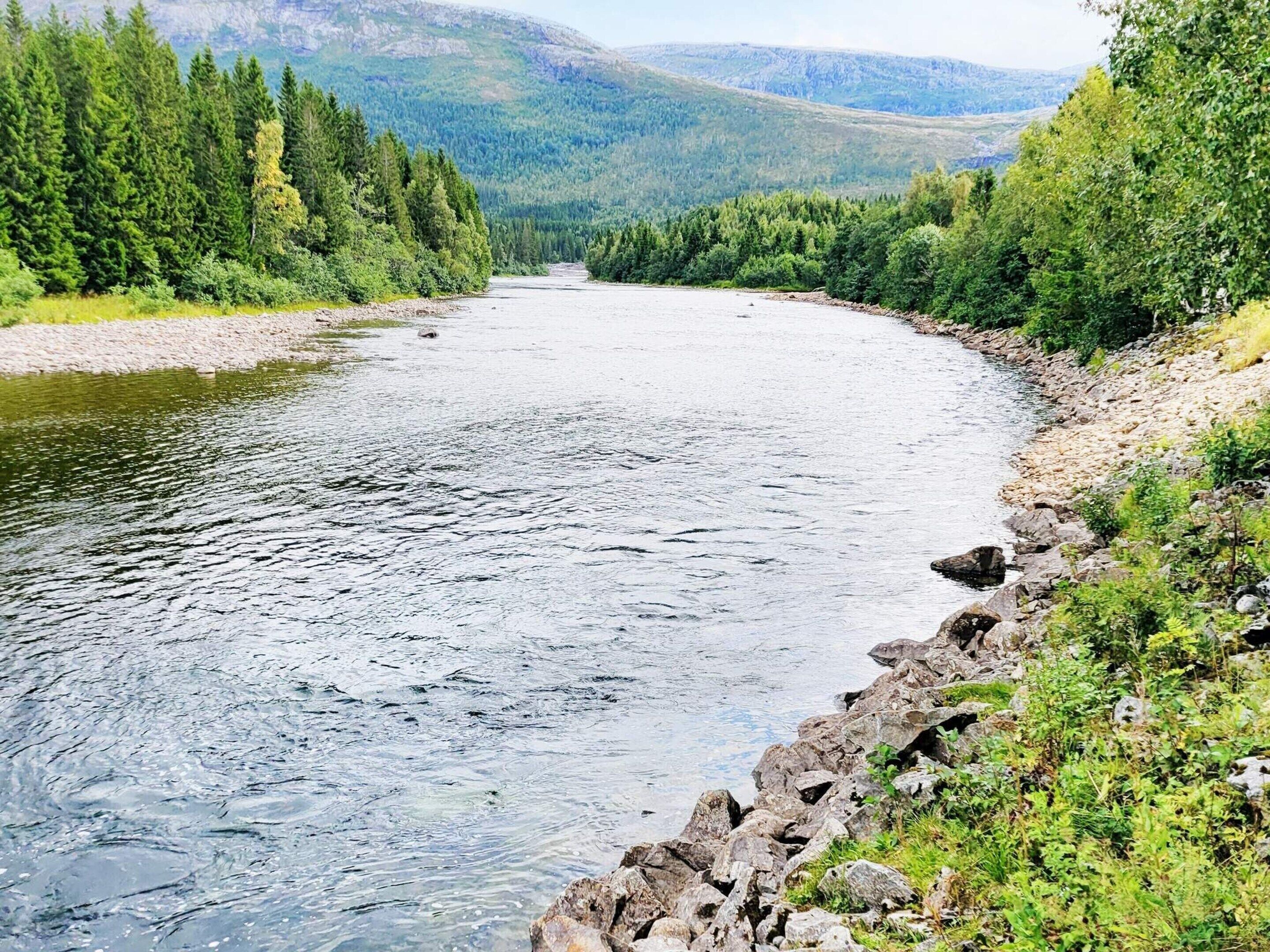 Un río con una orilla rocosa y un bosque denso al fondo.
