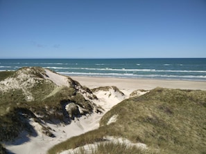 A beach with dunes and ocean.