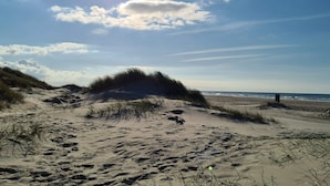 Une plage de sable avec des dunes et des empreintes de pas.