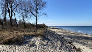 A beach with a sandy path, leafless trees, and a calm sea. - Luxury & Design With sea View (Kuehlungsborn)