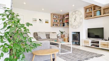 Smart TV, fireplace, books